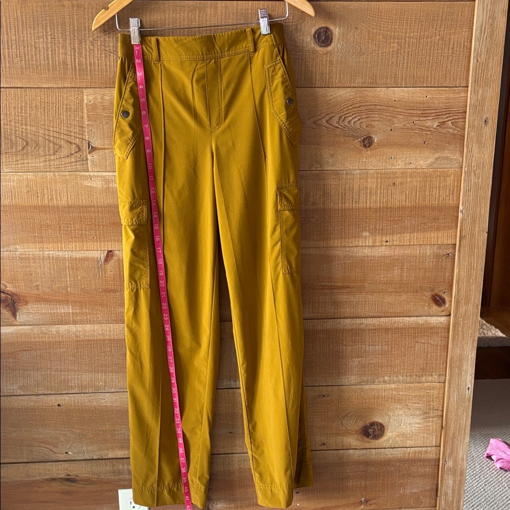 Athleta Vienna cargo pants .